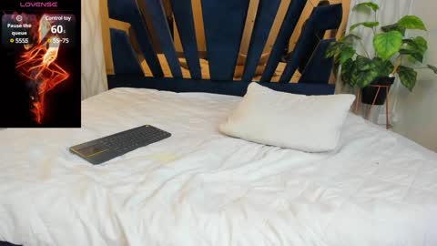 adbel sady online show from February 6, 2:15 pm