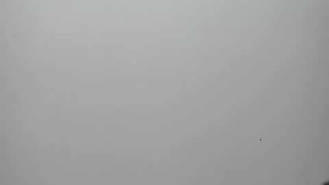 adbel sady online show from February 10, 11:15 am