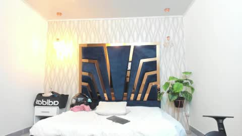 adbel sady online show from February 14, 2:23 pm