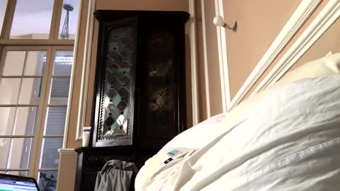 adrienfromparis online show from March 19, 8:07 am