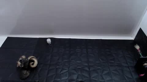  Miss Agata  online show from January 7, 7:38 pm