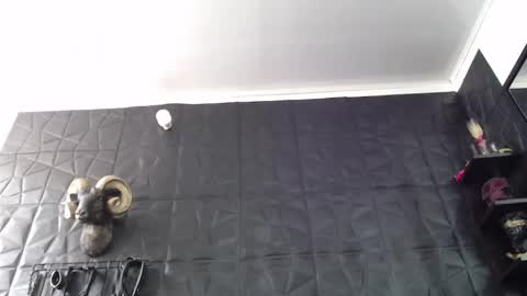 Snapshot of agata_darkness chatting on May 25, 3:29 pm Miss Agata online show from May 25, 3:29 pm