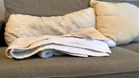 canadianboy92 online show from November 6, 4:52 pm