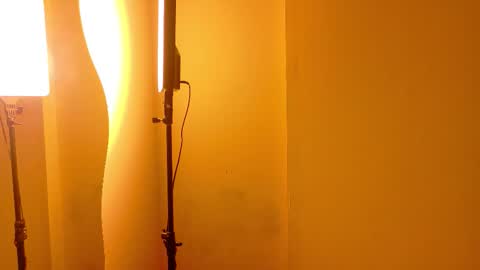 Snapshot of alaiarogers chatting on December 15, 11:36 am Alaia online show from December 15, 11:36 am