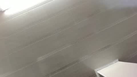 Maeve  online show from December 29, 10:45 am