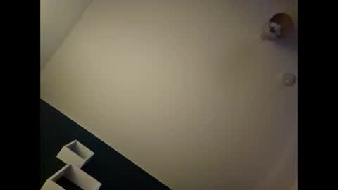 Snapshot of alannovak8 chatting on November 20, 12:00 am alannovak8 online show from November 20, 12:00 am