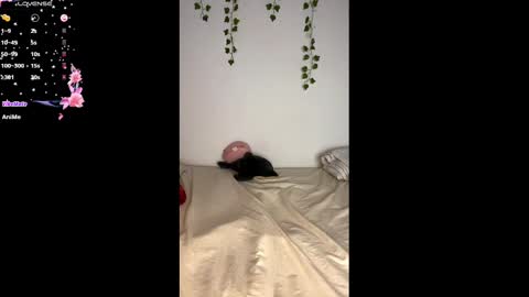 Alaska online show from February 25, 11:08 am