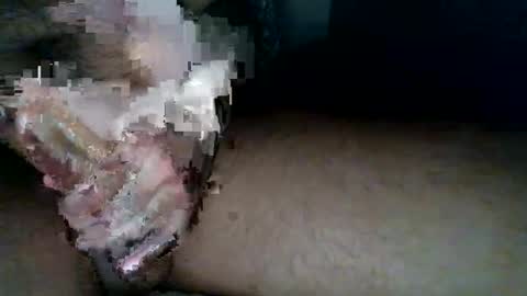 aldous_fuxley online show from February 20, 6:48 am