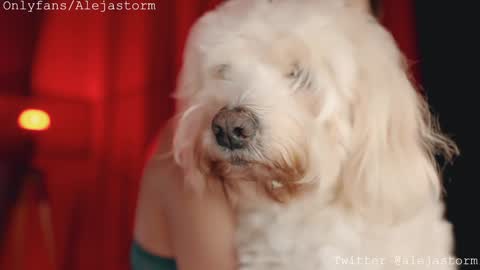 Snapshot of alejastorm chatting on February 26, 1:15 am Alejandra online show from February 26, 1:15 am