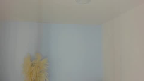 Snapshot of aleksandra_miller chatting on June 26, 12:31 pm Aleksandra online show from June 26, 12:31 pm