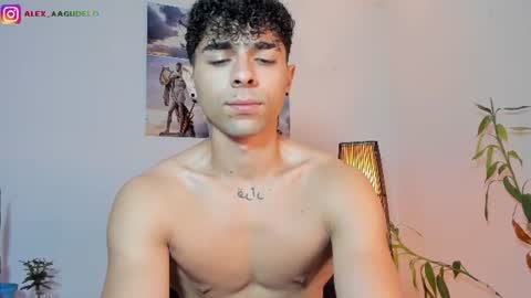 Snapshot of alex_zt7 chatting on June 12, 1:10 pm x online show from June 12, 1:10 pm