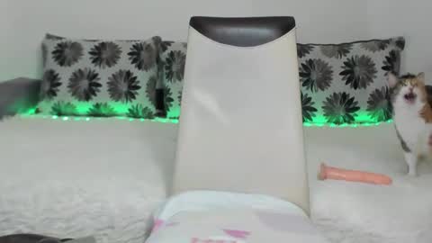 Alexa online show from January 11, 11:23 am