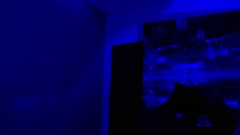 Snapshot of alexgiraldo__ chatting on May 3, 11:05 am alexgiraldo__ online show from May 3, 11:05 am