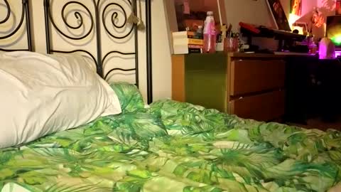 Alex online show from December 22, 9:31 pm