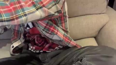 alexthetree online show from April 20, 7:26 pm