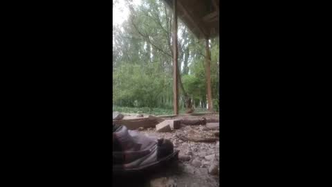 ali266113 online show from April 23, 6:25 am