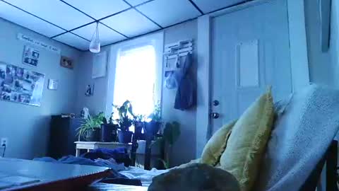 ali_tayler online show from November 8, 1:44 pm