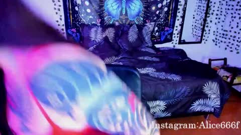 Snapshot of alice666f chatting on October 17, 6:54 pm ALiCE ROSE online show from October 17, 6:54 pm