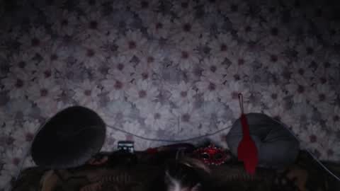 alice longstocking online show from February 7, 3:38 pm