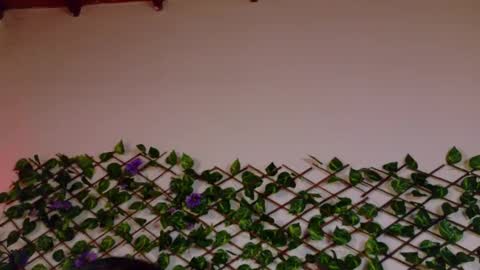 alice_rous21 online show from October 23, 1:54 pm