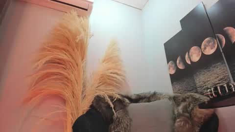 ALICE  online show from November 11, 4:01 am