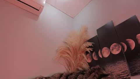 ALICE  online show from November 21, 5:39 am