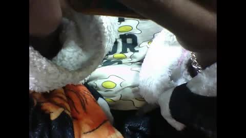 alicia253177 online show from September 10, 6:30 pm