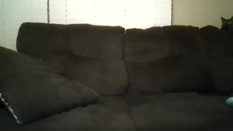 aliendick2274 online show from February 24, 8:23 am