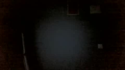 Snapshot of aliprcalica1 chatting on April 14, 11:44 pm Chris online show from April 14, 11:44 pm