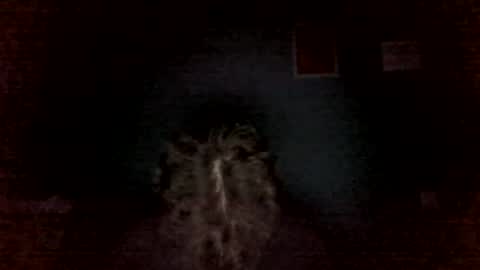 Snapshot of aliprcalica1 chatting on June 9, 11:05 pm Chris online show from June 9, 11:05 pm