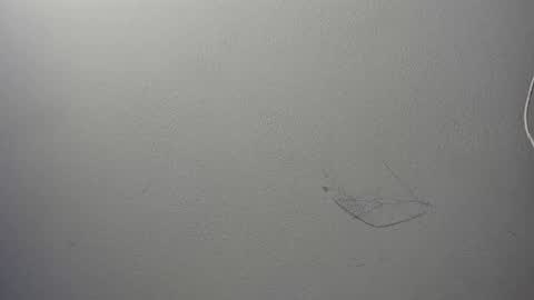 alison smith online show from January 4, 6:51 pm