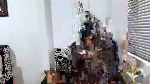 Alisonturbay online show from April 15, 12:23 pm