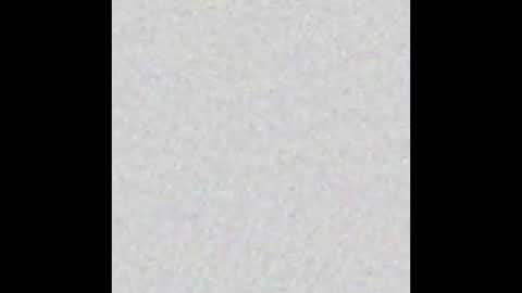 Alisse online show from November 20, 12:05 pm