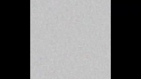 Alisse online show from February 12, 11:49 am