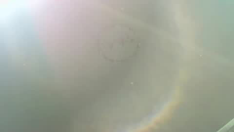 Snapshot of alisson__wood chatting on November 17, 3:07 pm ALISON WOOD online show from November 17, 3:07 pm