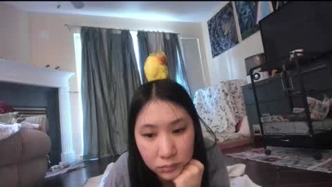 Snapshot of alizezaide chatting on January 16, 9:08 pm Alize Zaide online show from January 16, 9:08 pm