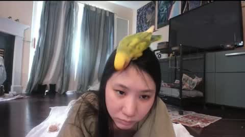 Snapshot of alizezaide chatting on February 6, 8:34 pm Alize Zaide online show from February 6, 8:34 pm