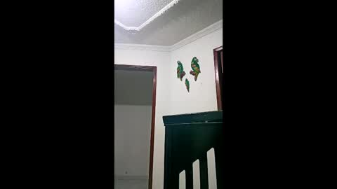 Snapshot of allisonlove_88 chatting on May 8, 3:12 am ALLISON online show from May 8, 3:12 am
