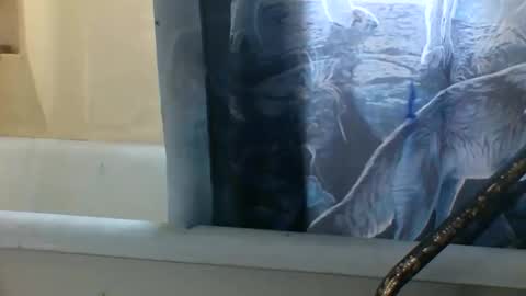 Snapshot of allwolf0323 chatting on November 6, 3:24 pm allwolf0323 online show from November 6, 3:24 pm