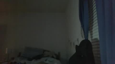 Snapshot of ally12334 chatting on October 25, 2:30 am ally12334 online show from October 25, 2:30 am