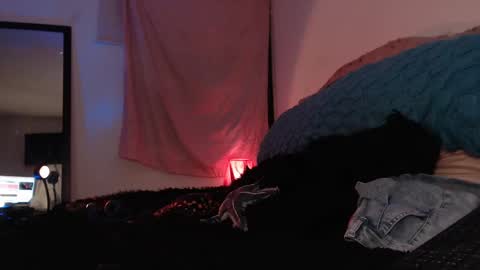 Ally online show from February 16, 12:52 am