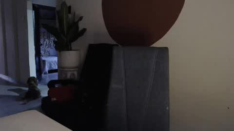 STEPHAN  online show from December 17, 11:27 am