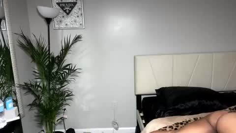 Snapshot of alongcamelexy chatting on October 9, 4:43 am alongcamelexy online show from October 9, 4:43 am