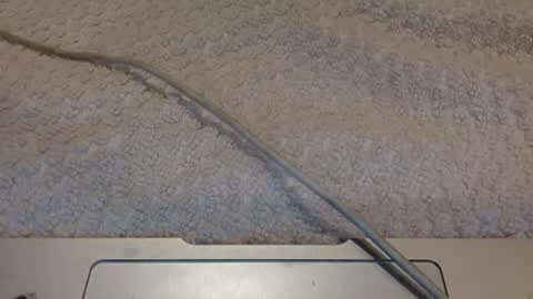 ALongwhitedick online show from March 12, 9:45 pm