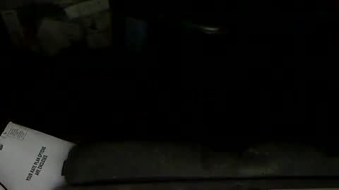 Loooopy online show from February 1, 11:58 pm