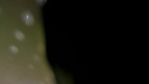 alotta_titties online show from February 5, 8:41 am