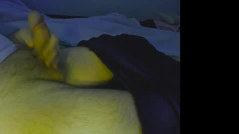 Snapshot of alphablue_wolf1295 chatting on December 4, 7:06 am alphablue_wolf1295 online show from December 4, 7:06 am