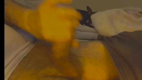 Snapshot of alphablue_wolf1295 chatting on January 2, 6:29 am alphablue_wolf1295 online show from January 2, 6:29 am