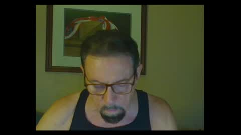 Snapshot of alphablue_wolf1295 chatting on October 5, 8:56 am alphablue_wolf1295 online show from October 5, 8:56 am