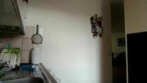 alphah_hunk online show from November 16, 10:43 am